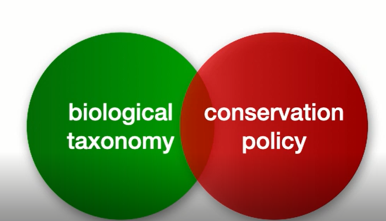 I zonen mellem biologisk taksonomi og artsbevarelsespolitik kan man placere projektet der takler ”Conservationist’s dilemma”.