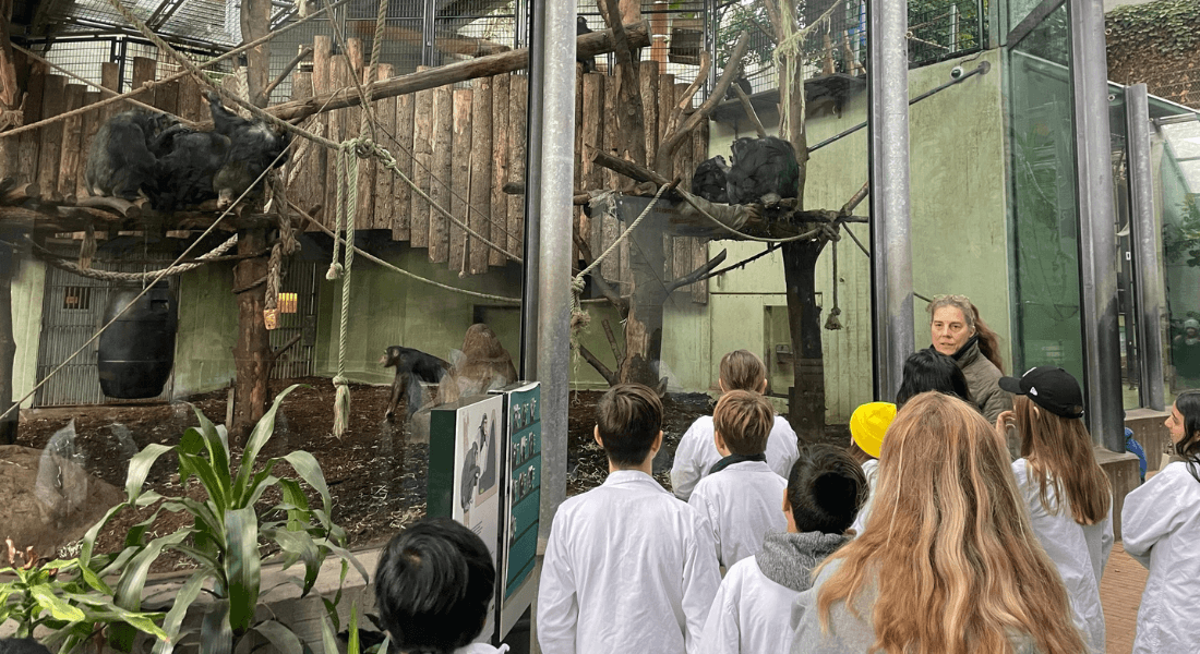 En 4. klasse deltager i skoleprogrammet Hjælp Chimpansen ved København Zoo. En 4. klasse deltager i skoleprogrammet Hjælp Chimpansen ved København Zoo.